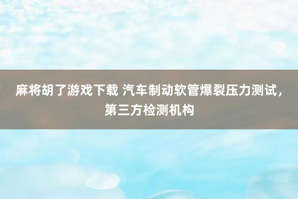 麻将胡了游戏下载 汽车制动软管爆裂压力测试，第三方检测机构