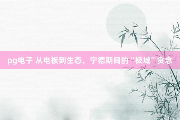 pg电子 从电板到生态，宁德期间的“极域”贪念