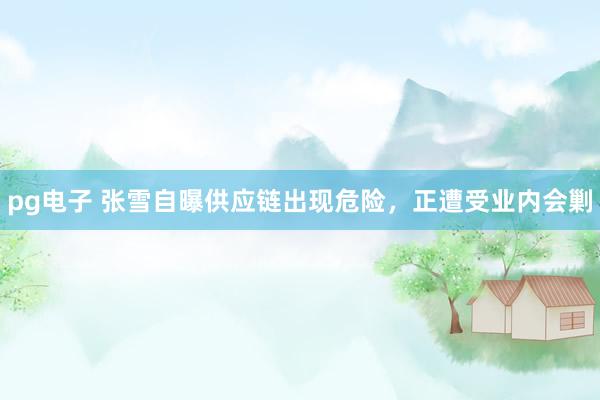 pg电子 张雪自曝供应链出现危险，正遭受业内会剿