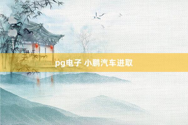 pg电子 小鹏汽车进取
