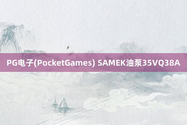 PG电子(PocketGames) SAMEK油泵35VQ38A