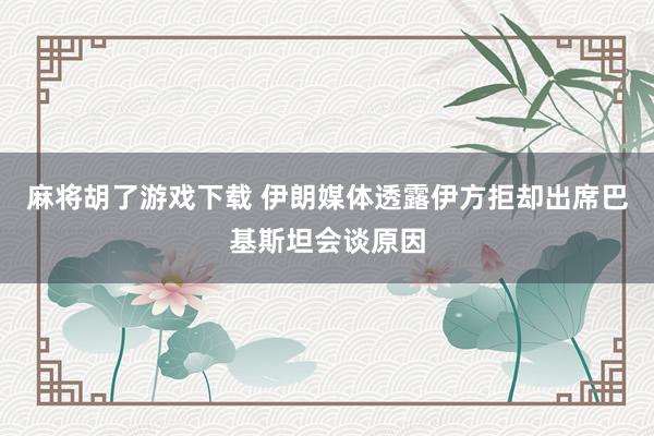 麻将胡了游戏下载 伊朗媒体透露伊方拒却出席巴基斯坦会谈原因