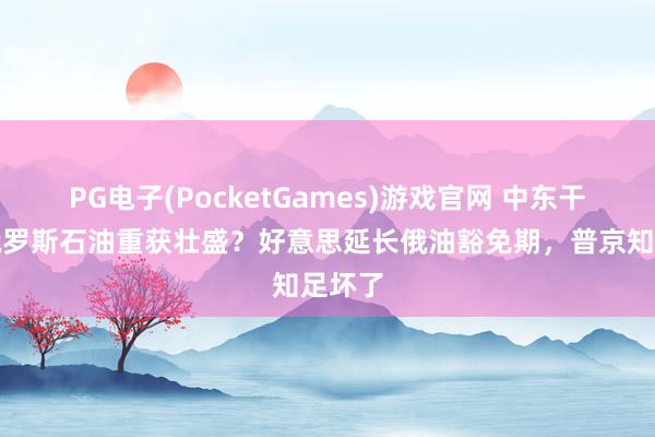 PG电子(PocketGames)游戏官网 中东干戈让俄罗斯石油重获壮盛？好意思延长俄油豁免期，普京知足坏了