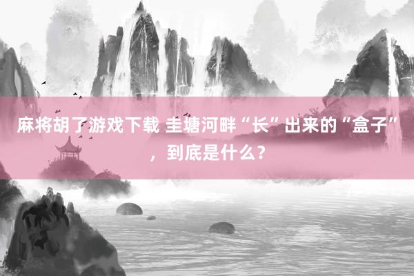 麻将胡了游戏下载 圭塘河畔“长”出来的“盒子”，到底是什么？