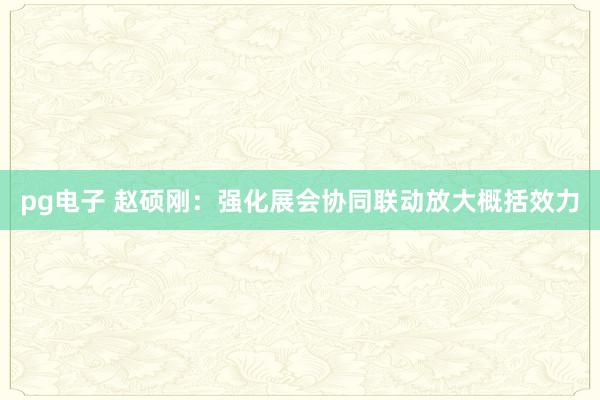 pg电子 赵硕刚：强化展会协同联动放大概括效力