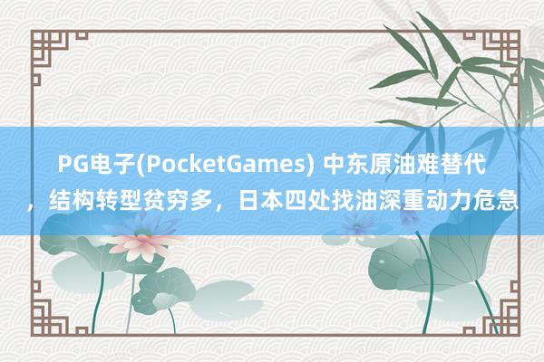 PG电子(PocketGames) 中东原油难替代，结构转型贫穷多，日本四处找油深重动力危急