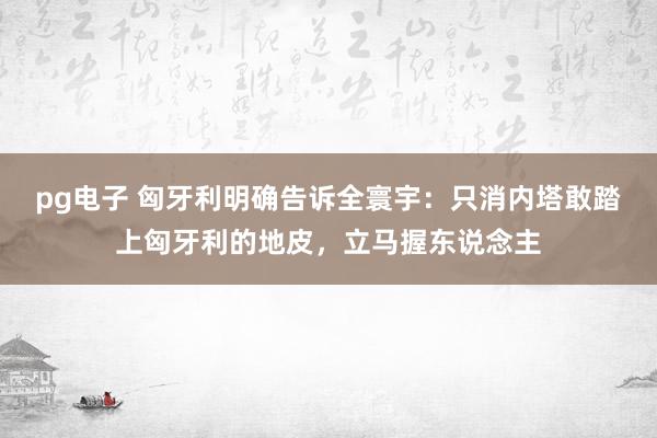 pg电子 匈牙利明确告诉全寰宇：只消内塔敢踏上匈牙利的地皮，立马握东说念主