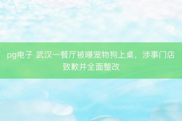 pg电子 武汉一餐厅被曝宠物狗上桌，涉事门店致歉并全面整改