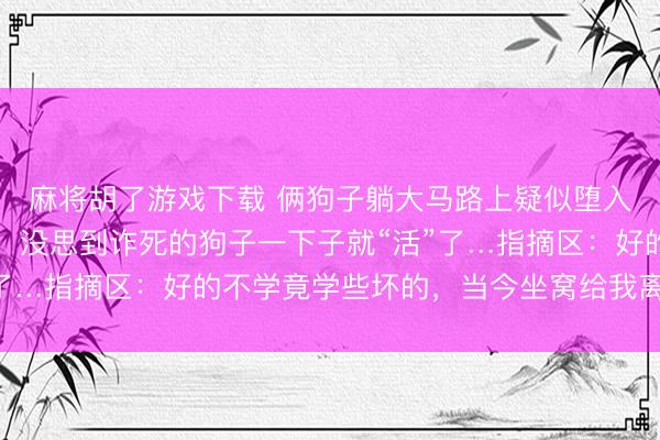 麻将胡了游戏下载 俩狗子躺大马路上疑似堕入危境，网友开车试探，没思到诈死的狗子一下子就“活”了…指摘区：好的不学竟学些坏的，当今坐窝给我离开马路！