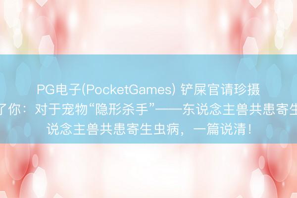PG电子(PocketGames) 铲屎官请珍摄！为了TA，也为了你：对于宠物“隐形杀手”——东说念主兽共患寄生虫病，一篇说清！