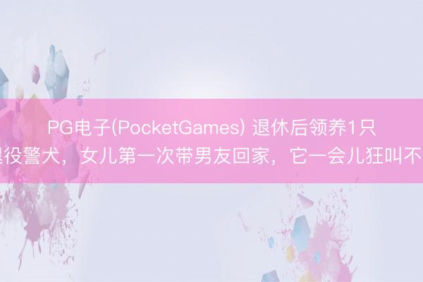 PG电子(PocketGames) 退休后领养1只退役警犬，女儿第一次带男友回家，它一会儿狂叫不啻