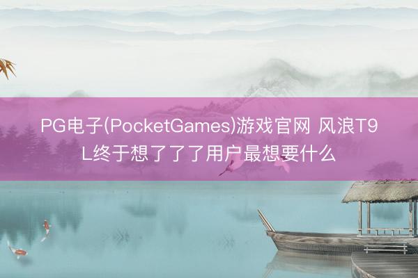 PG电子(PocketGames)游戏官网 风浪T9L终于想了了了用户最想要什么
